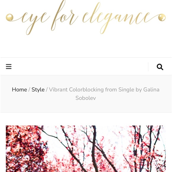 Single by Galina Sobolev 100% Silk Blogger Favorite High Low Fairy Dress Large - Picture 16 of 17